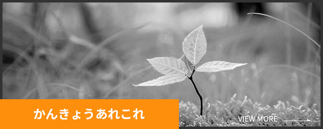 かんきょうあれこれ